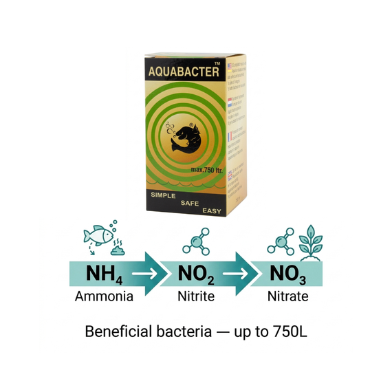 eSHa AQUABACTER — bactéries bénéfiques qui transforment l'ammoniac NH4 en nitrites NO2 puis nitrates NO3 dans l'aquarium