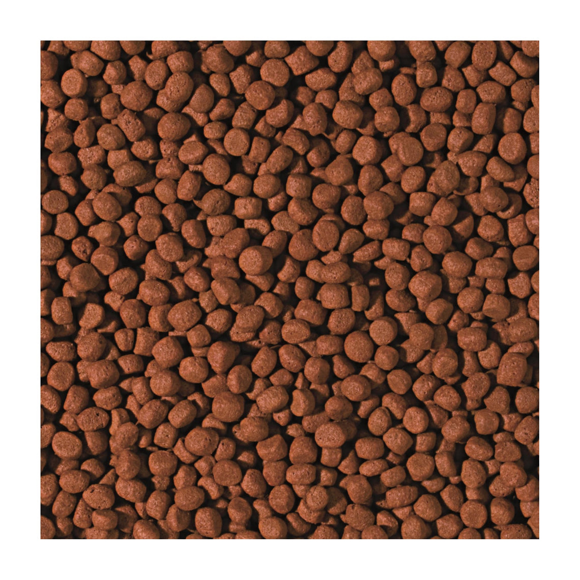 Tropical pellets for carnivores, sinking or floating – Univers Aquaponie