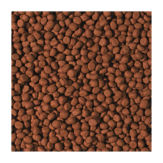 Detail středně velkých granulí Tropical Cichlid Carnivore Medium Pellet
