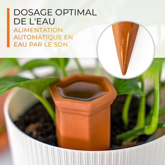 Solution d'irrigation Univers-Aquaponie pour maîtriser arrosage des plantes en culture pot ou jardin
