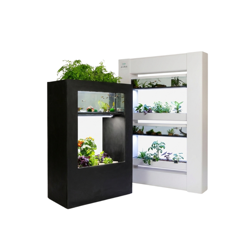 kit-aquaponie-le-baromate-2