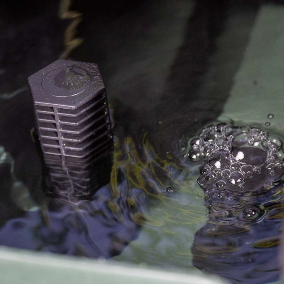 Crépine du raccord en place dans le bac de culture pendant l'inondation, eau en mouvement autour