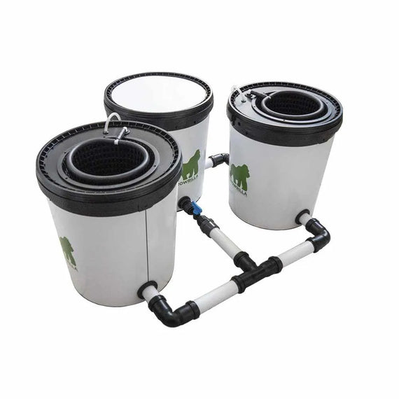 RDWC kit with watering rings, two 19 L grow pots and a controller pot connected by a white tube