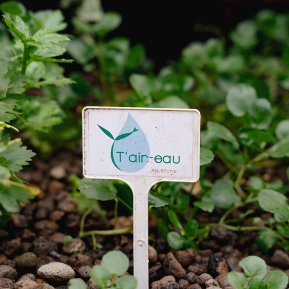 Kit aquaponie terre-eau format n°4 pour produire légumes et élever poissons en circuit fermé