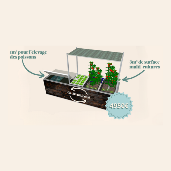 univers aquaponie kit 