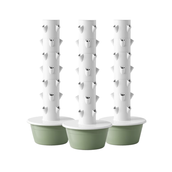 Lot de trois tours de culture hydroponique alignées, chacune plantée de salades et d'aromatiques
