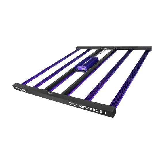 Lumatek Zeus 600 W Pro, cadre noir et barres LED violettes vus de trois quarts