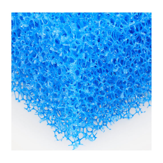 Gros plan sur la structure ouverte de la mousse filtrante bleue JBL grosse maille