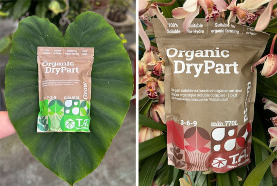 Engrais bio en poudre de croissance et de floraison, sachets ouverts sur une feuille