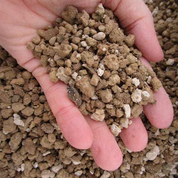 Poignée de grains de pierre ponce de 3 à 6 mm tenue au-dessus d'un tas de ponce