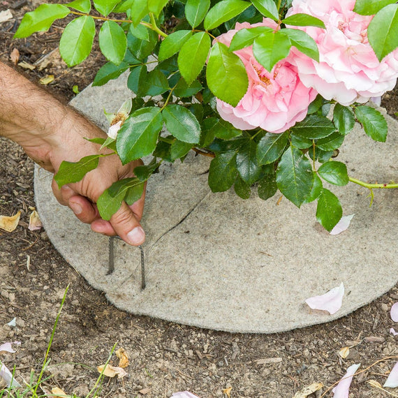 Piquets de fixation en acier pour bassin de jardin et toile géotextile en aquaponie