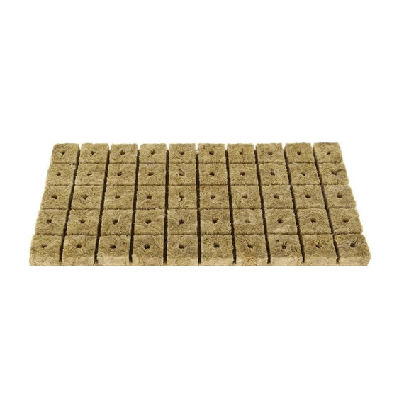 Plaque de 50 cubes de laine de roche de 2,5 cm, percés d'un trou de semis, sur fond blanc