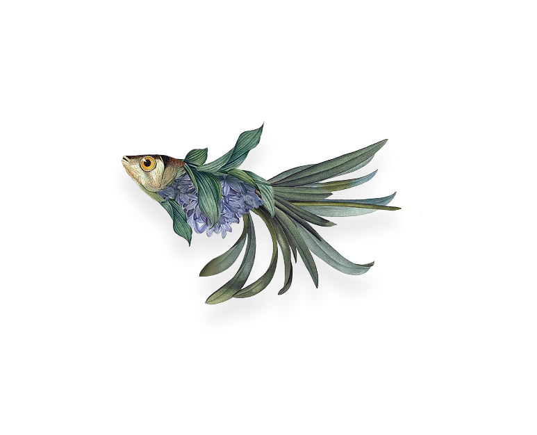 poisson-ananas