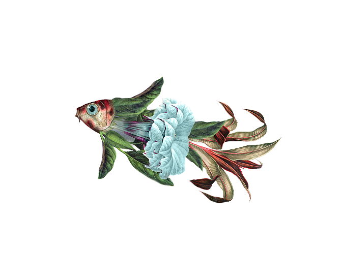poisson-bleu