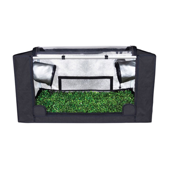 Probox Propagator M, chambre basse à poser, façade relevée sur un tapis de semis