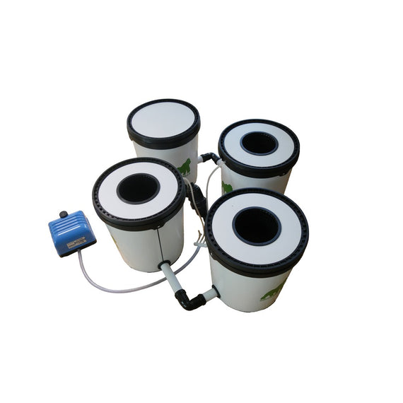 Système RDWC Growrilla 3 pots en culture, vue lifestyle