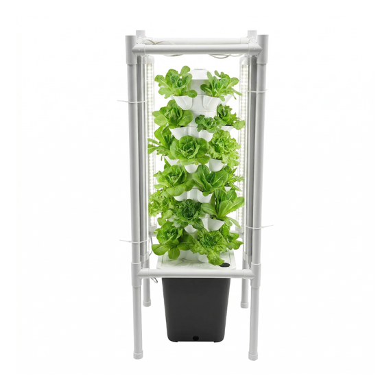 Salades cultivées dans tours hydroponiques avec éclairage LED horticole en croissance optimale