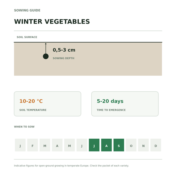 Schéma de semis des légumes d'hiver : fenêtre de juillet à septembre, levée de 5 à 20 jours