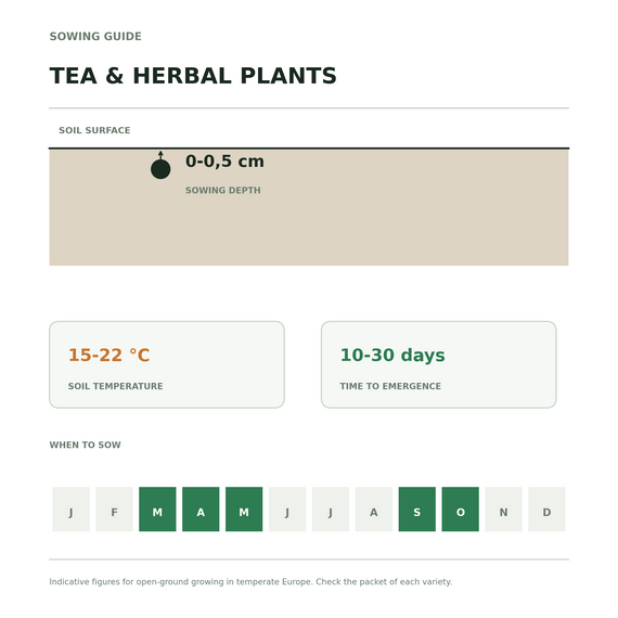 Schéma de semis des plantes à tisane : semis en surface, levée lente de 10 à 30 jours