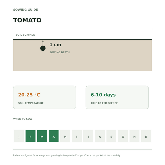 Schéma de semis de la tomate : profondeur 1 cm, levée à 20 à 25 °C, fenêtre de février à avril