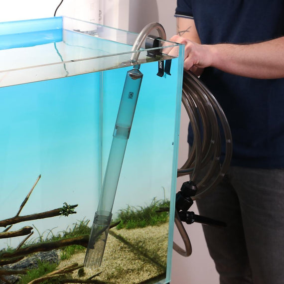 Cloche à vase JBL plongée dans un aquarium, tuyau accroché au bord du bac par un clip