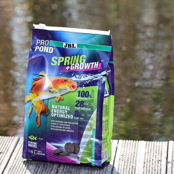 Sachet d'aliment de printemps posé sur un ponton en bois au bord d'un bassin