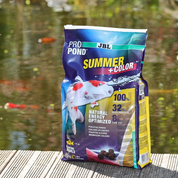 Sachet d'aliment d'été posé au bord d'un bassin où nagent des carpes koïs