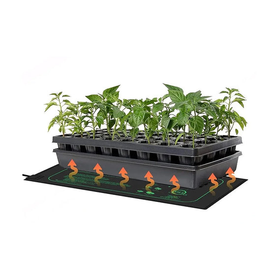 Plateau à cellules de jeunes plants posé sur un tapis chauffant, chaleur diffusée par le dessous