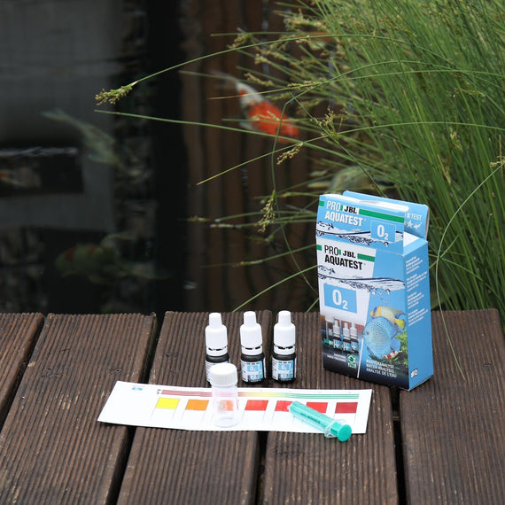 Test d'oxygène dissous posé au bord d'un bassin de jardin, boîte, flacons de réactifs et nuancier