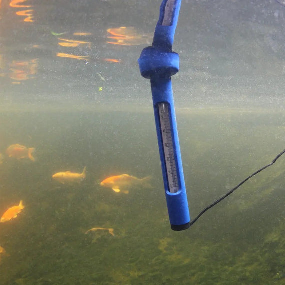 Termómetro flotante visto bajo el agua, tubo vertical bajo el flotador y peces rojos al fondo