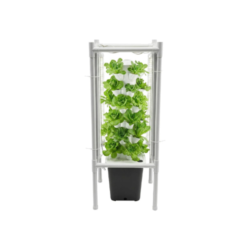 Tour hydroponique d'intérieur en culture avec des salades vertes sur les six étages sous éclairage LED