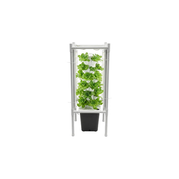 Tour hydroponique d'intérieur en culture avec des salades vertes sur les six étages sous éclairage LED