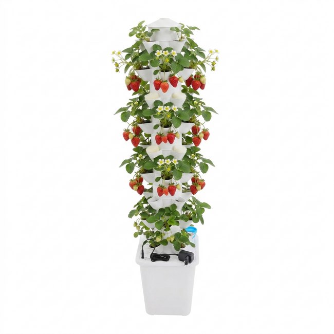Doordragende aardbeien het hele jaar