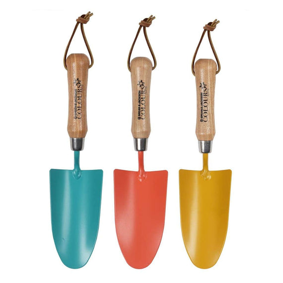Transplantoir Spear & Jackson de la gamme Couleurs à lame étroite et manche en bois avec cordon