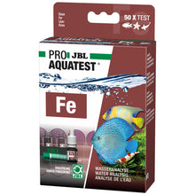 Test de Hierro (FE)