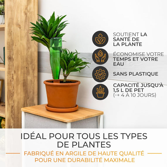 Cônes argile Univers-Aquaponie pour arrosage éco-responsable des plantes intérieures et balcon
