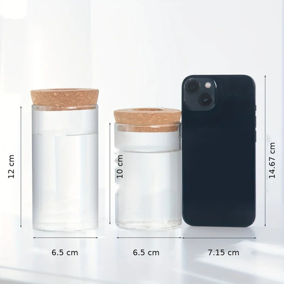 Dimensions of the two glass vase sizes, 6.5 x 12 cm and 6.5 x 10 cm, placed next to a smartphone