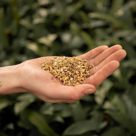 Vermiculite naturelle tenue dans la main d'un jardinier